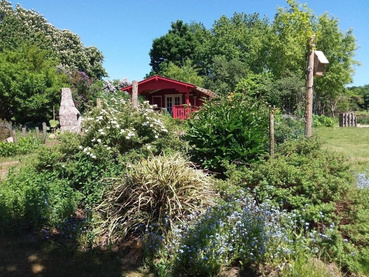 Appartamento Ruhige Fewo Im Gruenen Mit Balkon, Terrasse Und Grossem Garten Sehlen Esterno foto